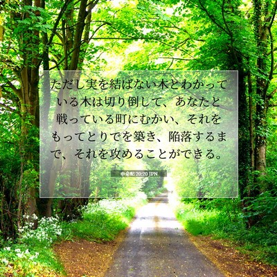 Picture 07 - 申命記 20:20 JPN - ただし実を結ばない木とわかってい - Bible Verse Picture
