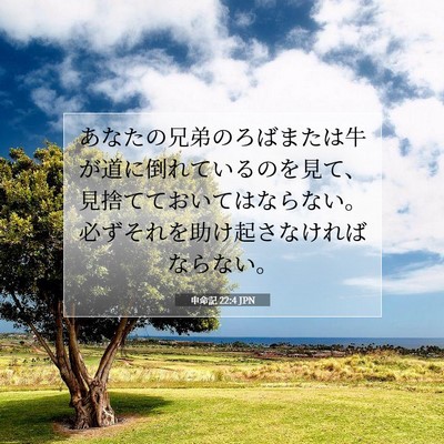 Picture 07 - 申命記 22:4 JPN - あなたの兄弟のろばまたは牛が道に - Bible Verse Picture