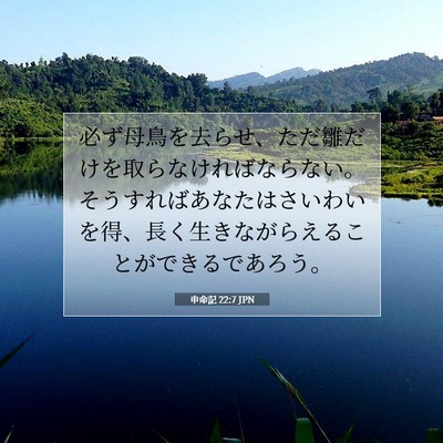 Picture 07 - 申命記 22:7 JPN - 必ず母鳥を去らせ、ただ雛だけを取 - Bible Verse Picture