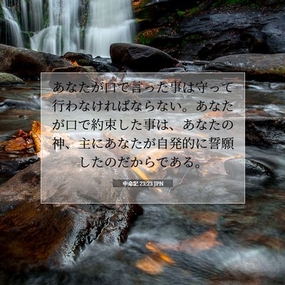 Picture 07 - 申命記 23:23 JPN - あなたが口で言った事は守って行わ - Bible Verse Picture