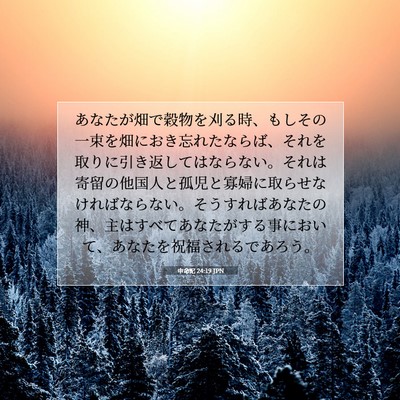 Picture 07 - 申命記 24:19 JPN - あなたが畑で穀物を刈る時、もしそ - Bible Verse Picture