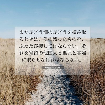 Picture 07 - 申命記 24:21 JPN - またぶどう畑のぶどうを摘み取ると - Bible Verse Picture