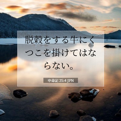 Picture 07 - 申命記 25:4 JPN - 脱穀をする牛にくつこを掛けてはな - Bible Verse Picture
