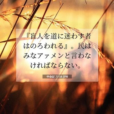 Picture 07 - 申命記 27:18 JPN - 『盲人を道に迷わす者はのろわれる - Bible Verse Picture