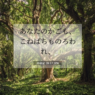 Picture 07 - 申命記 28:17 JPN - あなたのかごも、こねばちものろわ - Bible Verse Picture