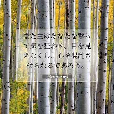 Picture 07 - 申命記 28:28 JPN - また主はあなたを撃って気を狂わせ - Bible Verse Picture