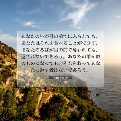 Picture 07 - 申命記 28:31 JPN - あなたの牛が目の前でほふられても - Bible Verse Picture