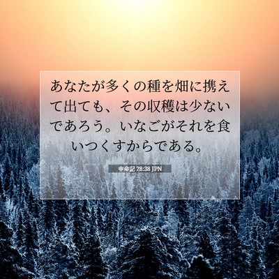 Picture 07 - 申命記 28:38 JPN - あなたが多くの種を畑に携えて出て - Bible Verse Picture
