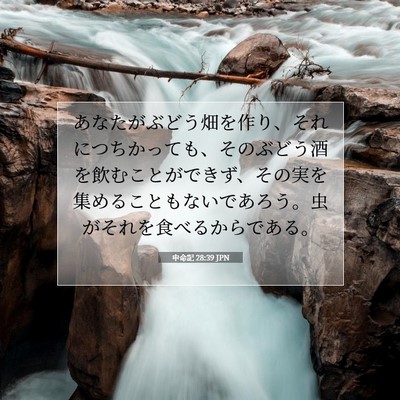 Picture 07 - 申命記 28:39 JPN - あなたがぶどう畑を作り、それにつ - Bible Verse Picture