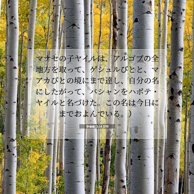 Picture 07 - 申命記 3:14 JPN - マナセの子ヤイルは、アルゴブの全 - Bible Verse Picture