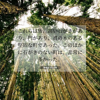 Picture 07 - 申命記 3:5 JPN - これらは皆、高い石がきがあり、門 - Bible Verse Picture