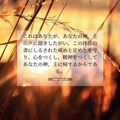 Picture 07 - 申命記 30:10 JPN - これはあなたが、あなたの神、主の - Bible Verse Picture