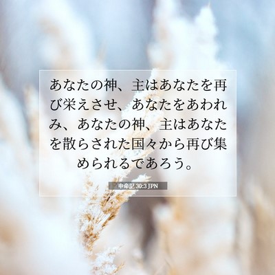 Picture 07 - 申命記 30:3 JPN - あなたの神、主はあなたを再び栄え - Bible Verse Picture