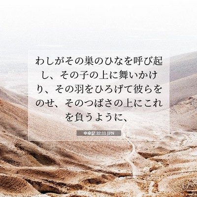 Picture 07 - 申命記 32:11 JPN - わしがその巣のひなを呼び起し、そ - Bible Verse Picture
