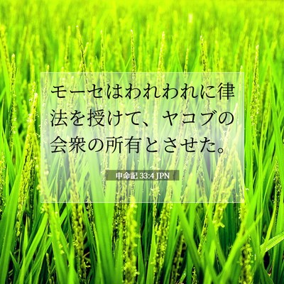 Picture 07 - 申命記 33:4 JPN - モーセはわれわれに律法を授けて、 - Bible Verse Picture