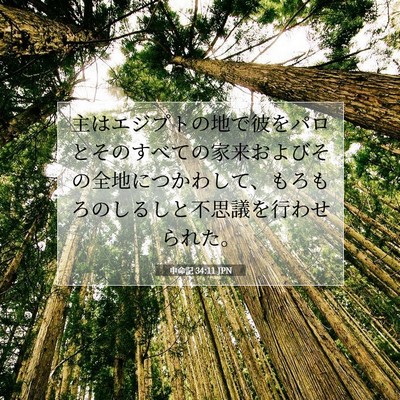 Picture 07 - 申命記 34:11 JPN - 主はエジプトの地で彼をパロとその - Bible Verse Picture