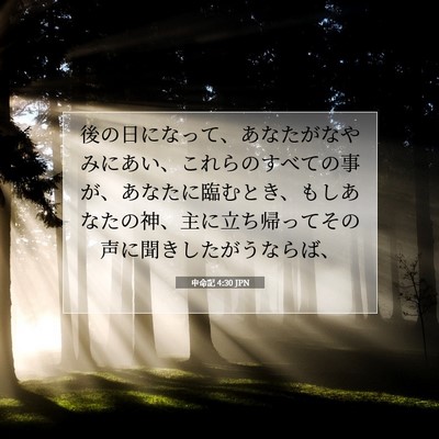 Picture 07 - 申命記 4:30 JPN - 後の日になって、あなたがなやみに - Bible Verse Picture