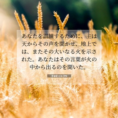 Picture 07 - 申命記 4:36 JPN - あなたを訓練するために、主は天か - Bible Verse Picture