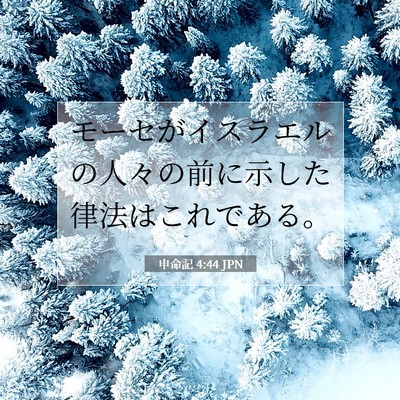 Picture 07 - 申命記 4:44 JPN - モーセがイスラエルの人々の前に示 - Bible Verse Picture