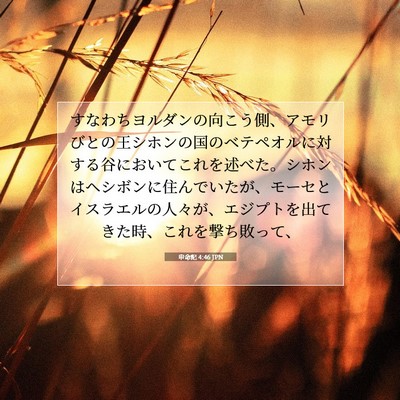 Picture 07 - 申命記 4:46 JPN - すなわちヨルダンの向こう側、アモ - Bible Verse Picture