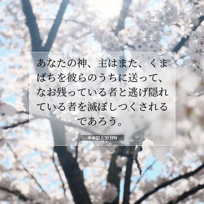 Picture 07 - 申命記 7:20 JPN - あなたの神、主はまた、くまばちを - Bible Verse Picture