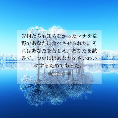 Picture 07 - 申命記 8:16 JPN - 先祖たちも知らなかったマナを荒野 - Bible Verse Picture