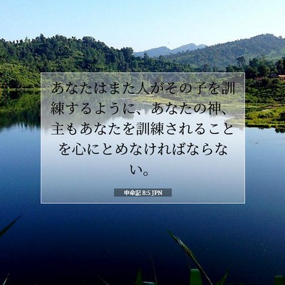 Picture 07 - 申命記 8:5 JPN - あなたはまた人がその子を訓練する - Bible Verse Picture