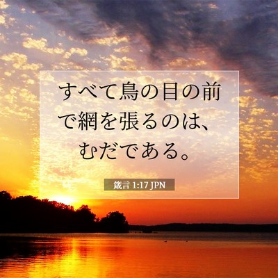 Picture 07 - 箴言 1:17 JPN - すべて鳥の目の前で網を張るのは、 - Bible Verse Picture