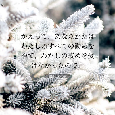 Picture 07 - 箴言 1:25 JPN - かえって、あなたがたはわたしのす - Bible Verse Picture