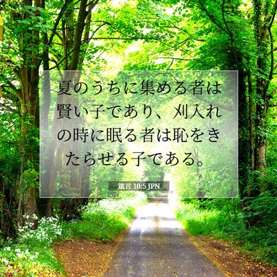 Picture 07 - 箴言 10:5 JPN - 夏のうちに集める者は賢い子であり - Bible Verse Picture