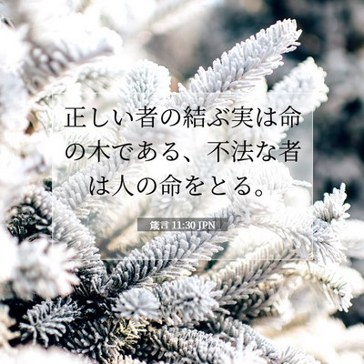 Picture 07 - 箴言 11:30 JPN - 正しい者の結ぶ実は命の木である、 - Bible Verse Picture