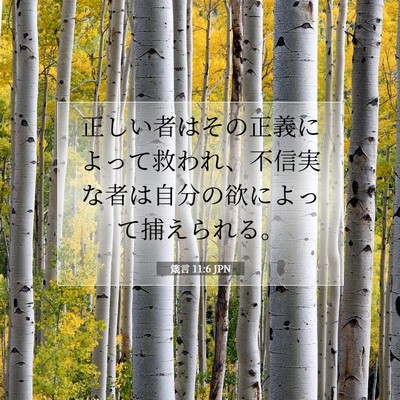 Picture 07 - 箴言 11:6 JPN - 正しい者はその正義によって救われ - Bible Verse Picture