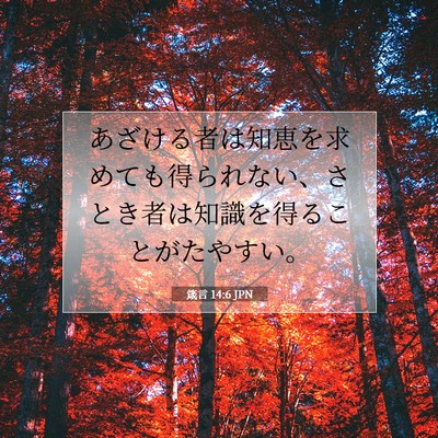 Picture 07 - 箴言 14:6 JPN - あざける者は知恵を求めても得られ - Bible Verse Picture