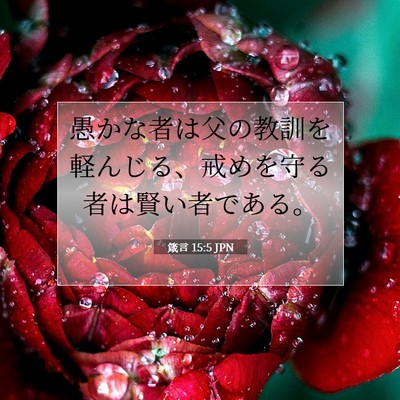 Picture 07 - 箴言 15:5 JPN - 愚かな者は父の教訓を軽んじる、戒 - Bible Verse Picture
