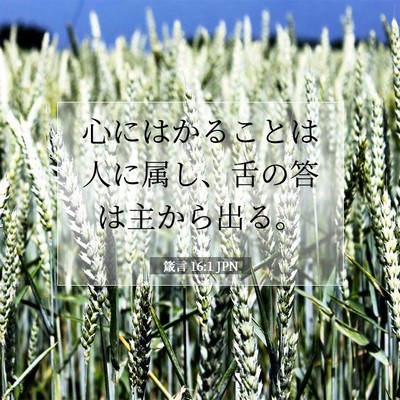 Picture 07 - 箴言 16:1 JPN - 心にはかることは人に属し、舌の答 - Bible Verse Picture
