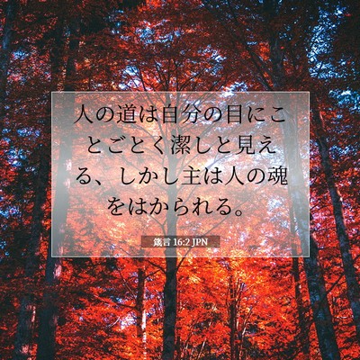 Picture 07 - 箴言 16:2 JPN - 人の道は自分の目にことごとく潔し - Bible Verse Picture