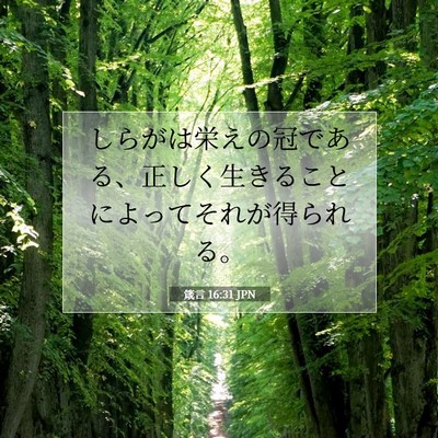 Picture 07 - 箴言 16:31 JPN - しらがは栄えの冠である、正しく生 - Bible Verse Picture