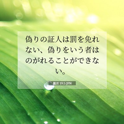 Picture 07 - 箴言 19:5 JPN - 偽りの証人は罰を免れない、偽りを - Bible Verse Picture