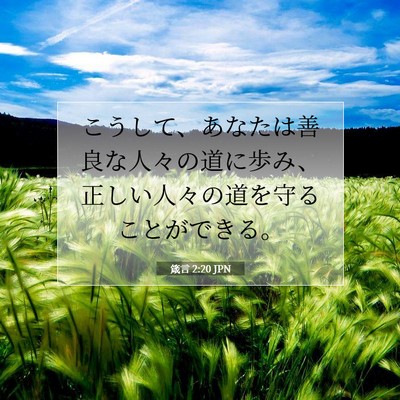 Picture 07 - 箴言 2:20 JPN - こうして、あなたは善良な人々の道 - Bible Verse Picture