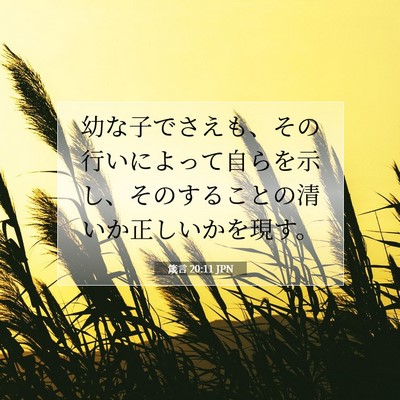 Picture 07 - 箴言 20:11 JPN - 幼な子でさえも、その行いによって - Bible Verse Picture