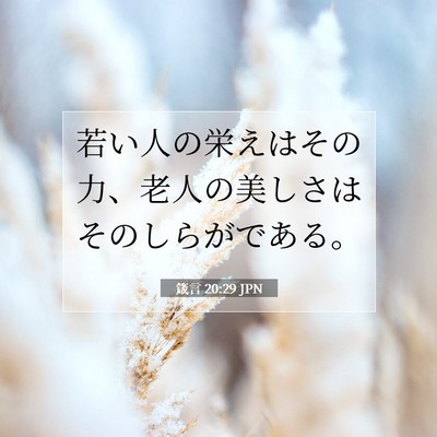 Picture 07 - 箴言 20:29 JPN - 若い人の栄えはその力、老人の美し - Bible Verse Picture