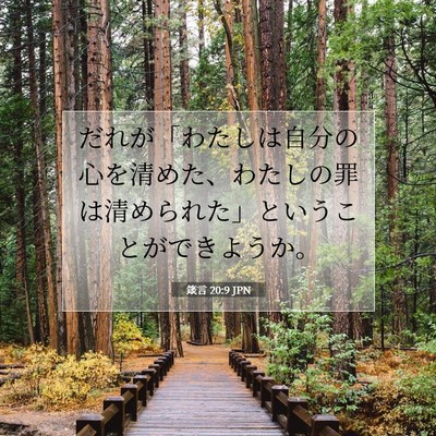 Picture 07 - 箴言 20:9 JPN - だれが「わたしは自分の心を清めた - Bible Verse Picture
