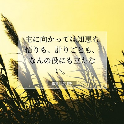 Picture 07 - 箴言 21:30 JPN - 主に向かっては知恵も悟りも、計り - Bible Verse Picture