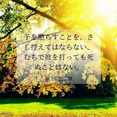 Picture 07 - 箴言 23:13 JPN - 子を懲らすことを、さし控えてはな - Bible Verse Picture