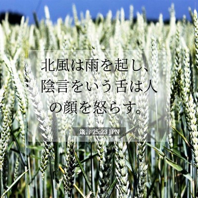 Picture 07 - 箴言 25:23 JPN - 北風は雨を起し、陰言をいう舌は人 - Bible Verse Picture