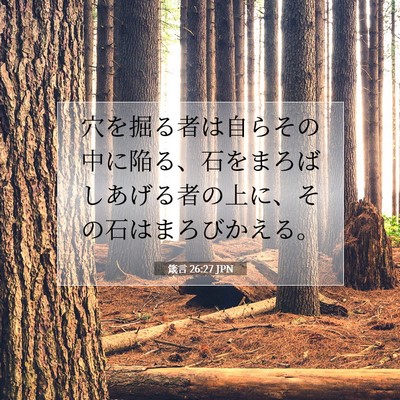 Picture 07 - 箴言 26:27 JPN - 穴を掘る者は自らその中に陥る、石 - Bible Verse Picture