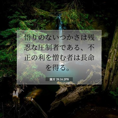 Picture 07 - 箴言 28:16 JPN - 悟りのないつかさは残忍な圧制者で - Bible Verse Picture