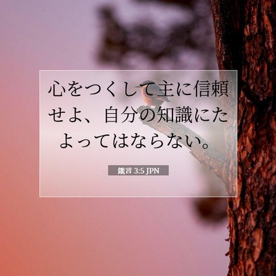 Picture 07 - 箴言 3:5 JPN - 心をつくして主に信頼せよ、自分の - Bible Verse Picture
