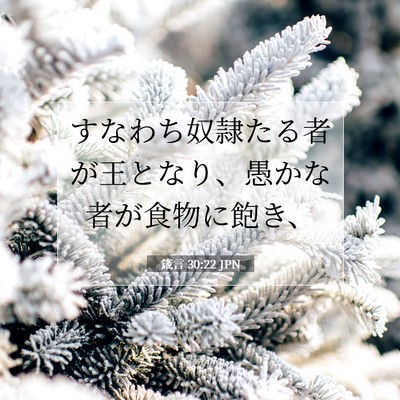 Picture 07 - 箴言 30:22 JPN - すなわち奴隷たる者が王となり、愚 - Bible Verse Picture