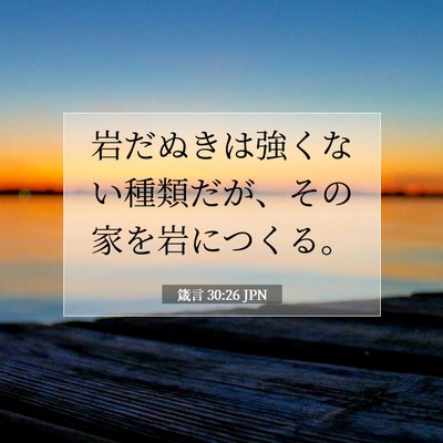 Picture 07 - 箴言 30:26 JPN - 岩だぬきは強くない種類だが、その - Bible Verse Picture